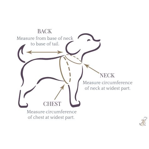 Buy The Papaw Cartel Festive Gotapati Kurta for Dogs (Orange) online at ...