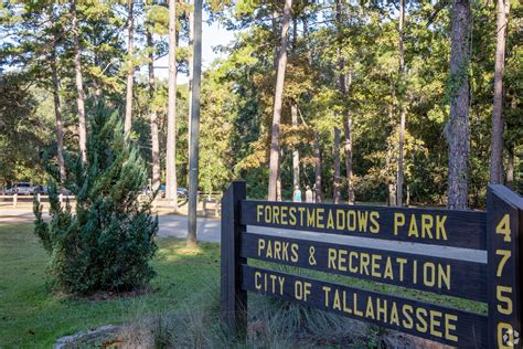 Hawks Rise Elementary School in Tallahassee, FL - Homes.com