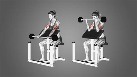 Preacher Curl Machine Alternative