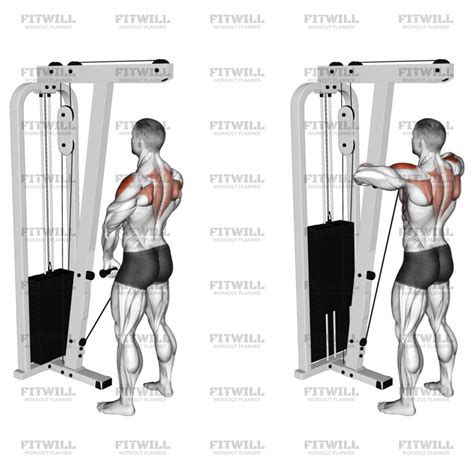 Cable Upright Row: Exercise Guide, Video, Techniques, Benefits, How to ...