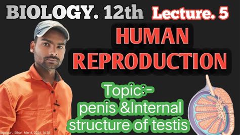 Class 12 Reproduction Videos 的图像结果