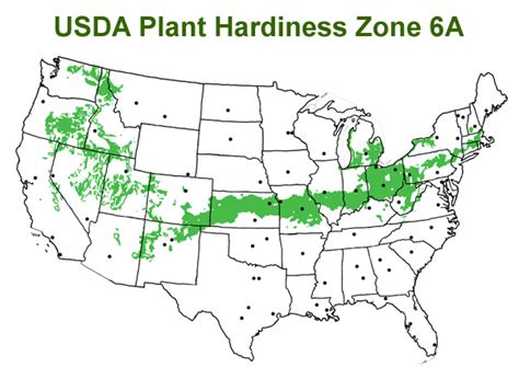 Buy Cold Hardy Encore Azaleas That Grow In USDA Plant Hardiness Zone 6A ...