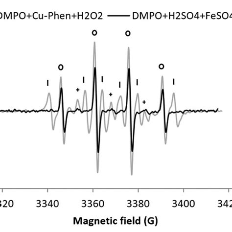 Dmpo H2O2 的图像结果