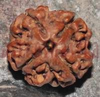 Predictive Questionnairer (Bhagya Prashnawali)