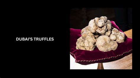 Top 10 Most Expensive Truffles In The World (2023 Updated)