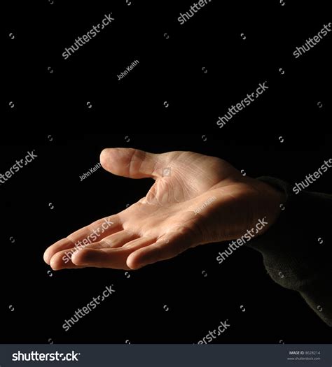 Plead 的图像结果