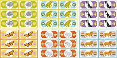kinder malvorlagen spielgeld spielgeld ausdrucken vorlagen kinder malvorlagen spielgeld spielgeld ausdrucken vorlagen