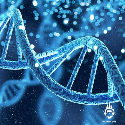 Can Some Exercises Stop Height Growth? Find The Truth – Burnlab.Co