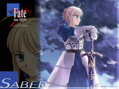 Fate stay night visual novel for sale - collegeluda