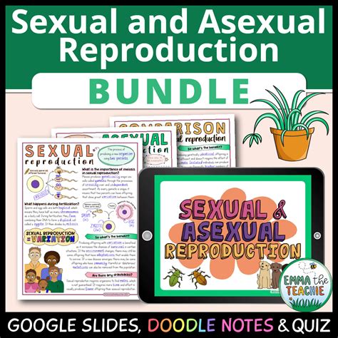 Asexual Meaning Asexual Reproduction In Animals Examples, Advantages