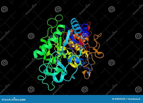 Enzyme In Saliva Starch at Tracy Worsley blog
