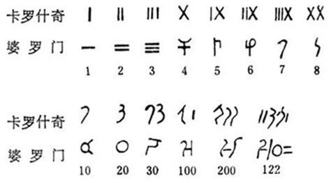 十四的罗马数字符号（十四的罗马数字）_生物科学网