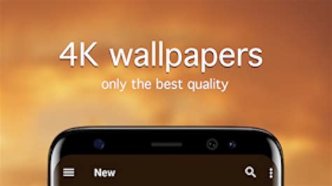 Lion Wallpapers and Backgrounds apps 4k - App on Amazon Appstore