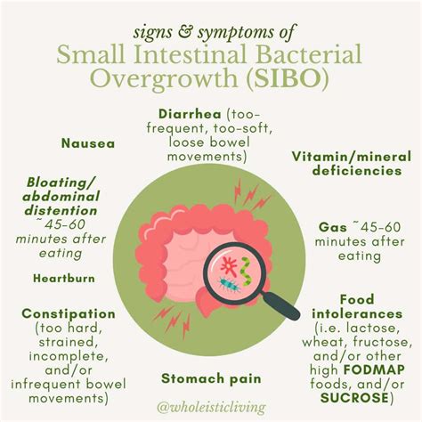 Sibo Symptoms Female
