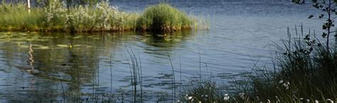 James River Soil & Water Conservation District Breakfast, Chesterfield ...