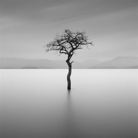 aerial photography business plan