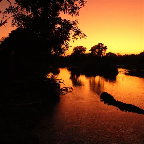 KORO ISLAND CAMP (Central Tuli Block) - 2025 Lodge Reviews, Photos ...