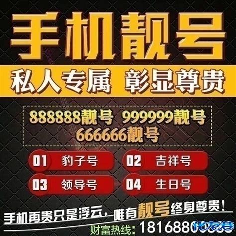 130号段为什么那么贵 - 魔法网