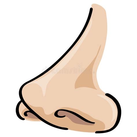 illustration nose