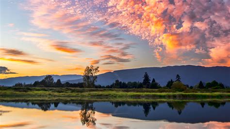 NMPA New Approvals in March 2023 | BradyKnows