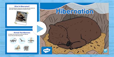 Hibernation PowerPoint