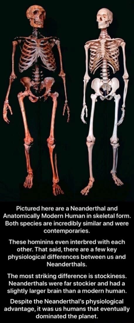 Image result for Skeleton Brain Exploding