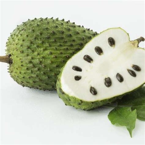 No: 1 Tropical Fruit Plant Nursery in Asia | Homegrown Biotech