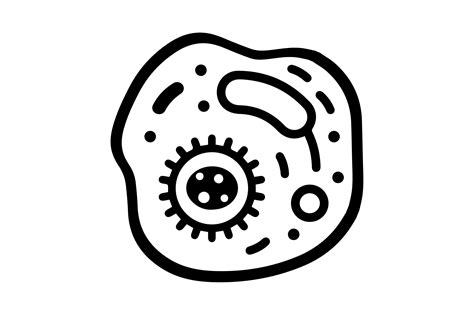 Biology Clipart Cell