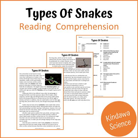 Types Of Snakes Reading Comprehension Passage and Questions | Printabl ...