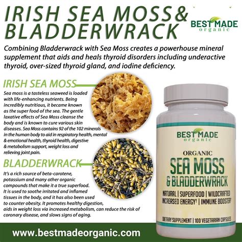 Sea Moss Benefits For Ms at Donna Hildebrant blog