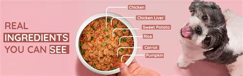 Benny's Bowl Fresh Dog Food | Chicken & Rice – Benny’s Bowl