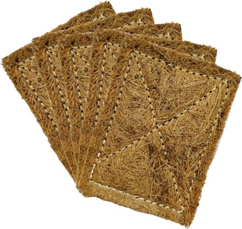 Palmera Coir bristles Scrub Kit, Set of 3 : Amazon.in: Home Improvement