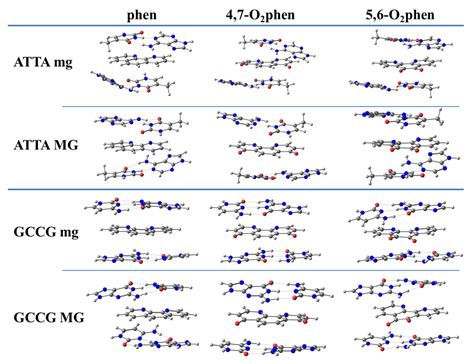 New Insights on the Interaction of Phenanthroline Based Ligands and ...