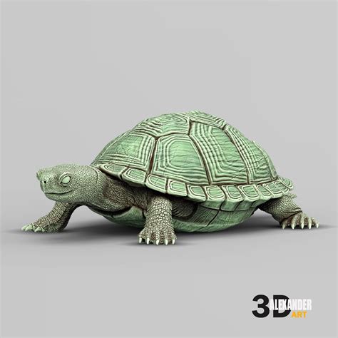 🐢 red-eared slider turtle 3D print model・ STL File for 3D printing・Cults