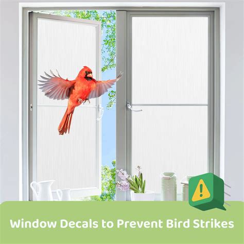 Bird Window Decals Anti Collision Birds of Our Lives