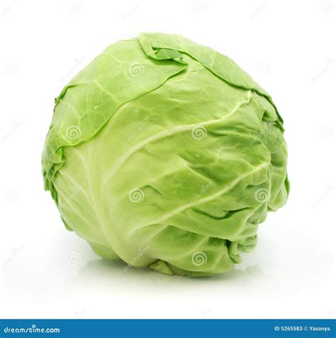 Cabbage Vegetable | Wallpapers Gallery