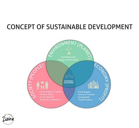 Sustainable Farming, A Farmer’s Small Step for Better Tomorrow
