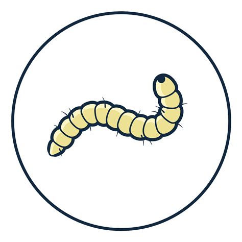 The What, Why, and How of Roundworms in Dogs - PetFriendly Box