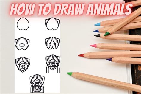 How to Draw Tutorials Animals 的图像结果