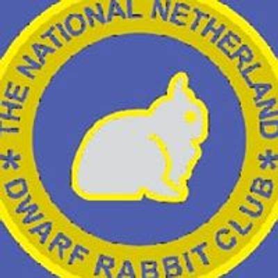 Discover National Netherland Dwarf Rabbit Club (NNDRC) Events | Tickets ...