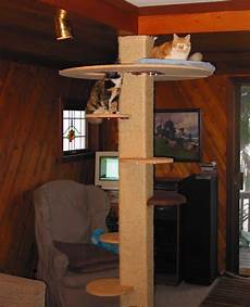Cat Tree For Small Spaces by Diy Cat Tree Small Space As The Widest Part Is Up High Cat Tree For Small Spaces