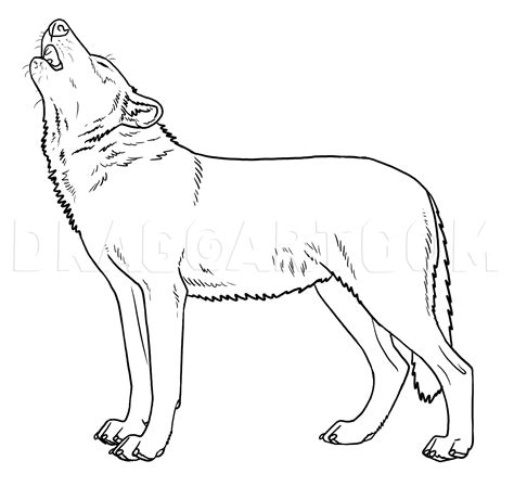 painting: Get Drawing Easy Wolf Howling Gif