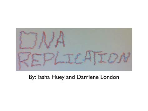DNA Replication Process Model 的图像结果