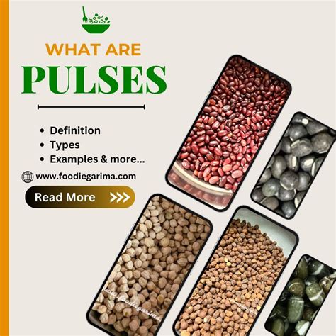 What are Pulses | Types and Examples - FOODIE GARIMA