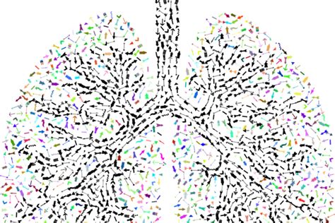 COPD - wenn die Luft knapp wird - gesund-aktuell.net