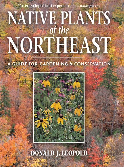 Kentucky Native Plants Guide