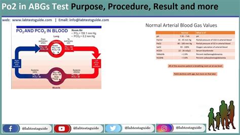 Image result for Normal PaO2