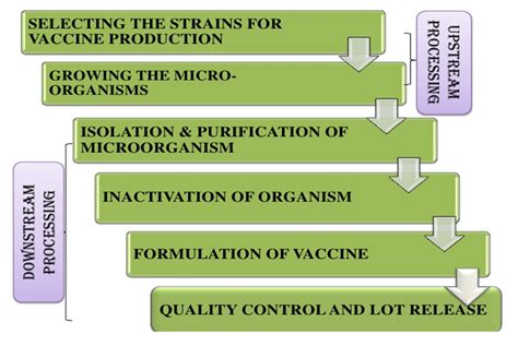 Vaccine Process 的图像结果