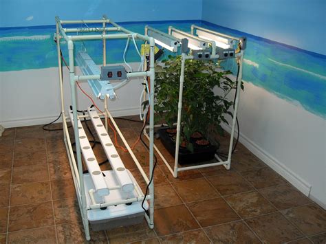 NFT Hydroponics 的图像结果