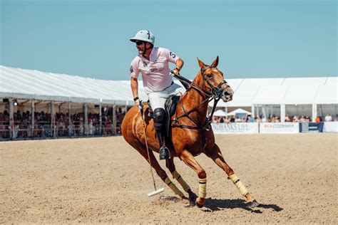 Local Partnership Program 的图像结果